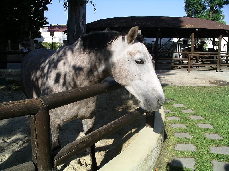 Spanje 2010 294.JPG